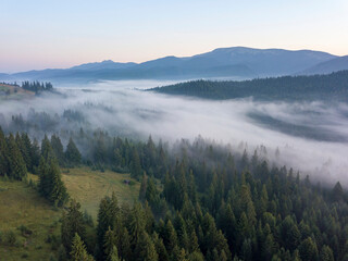 Green mountains of the Ukrainian Carpathians in the morning mist. Aerial drone view.