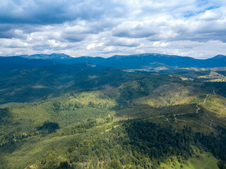 Obraz premium Green mountains of Ukrainian Carpathians in summer. Coniferous trees on the slopes. Aerial drone view.