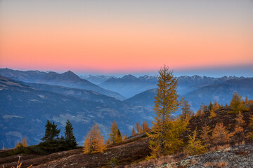 Abend, Abenddämmerung, Dämmerung, dämmern, Alpen, Hochstein, Lienzer Dolomiten, Wald, Lärchen, Lärche, Baum, Lärchenwald, Silhouette, Lienz, Osttirol, Himmel, Abendrot, Sonnenuntergang, Blaue Stunde, 