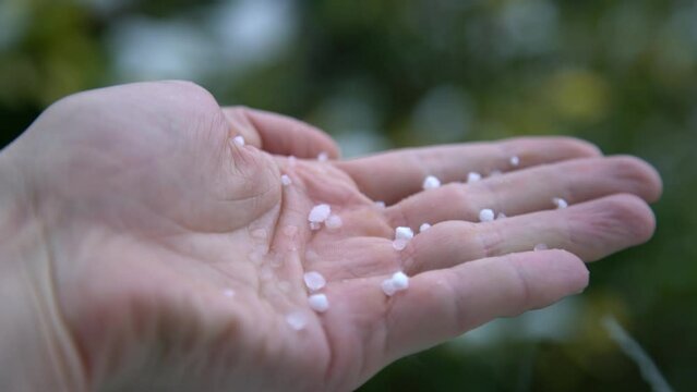 First snow is falling. Snowflakes (graupel) melt on your hand. Super close-up