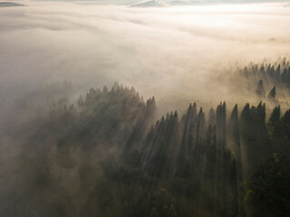 The rays of the morning sun through the fog in the mountains. Aerial drone view.