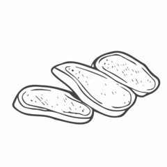 Doodle Ginger slices. Isolated vector of Ginger drawing. Hand drawn illustration. Line art