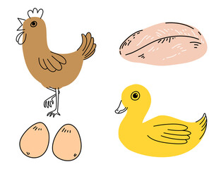 cute doodle line art cartoon of farm animal ; chicken, duck, eggs,  meat fillet
