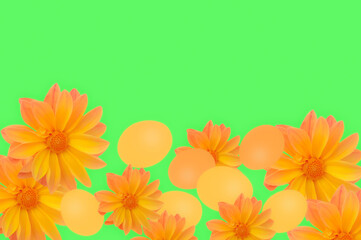 Naklejka premium Beautiful Easter background with orange dahlia flowers and yellow Easter eggs on a green isolated background