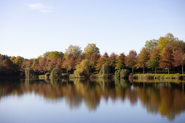 Fototapeta na wymiar Lake in forest park water autumn