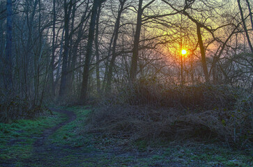 Fototapeta premium Sonnenaufgang 