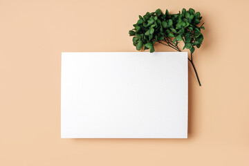 Empty card with green flowers. Mock up card  on stylish background for presentation or design. Nature and eco concept.