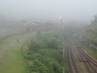 Fog inglesa no Brasil