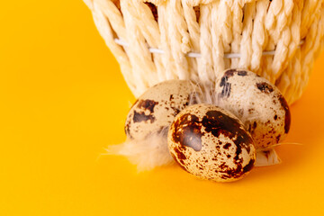 Obraz premium Yellow background with white straw basket full of quail eggs. Copy space. Empty text place. Mockup design of Easter holiday. Handmade decoration. Healthy food product. Summer mood color. Side view