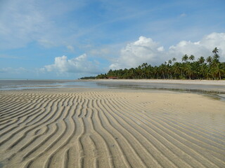 Fototapeta premium Uma praia paradisíaca