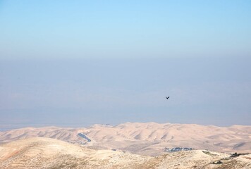 View of Judaean Desert from Mount Scopus with flying bird in the sky. Jerusalem, Israel.