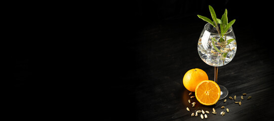 Modern Cocktail gin tonic herb spices fishbowl glass plain background