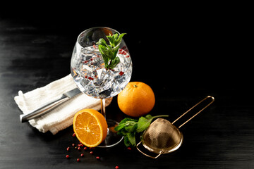Modern Cocktail gin tonic herb spices fishbowl glass plain background