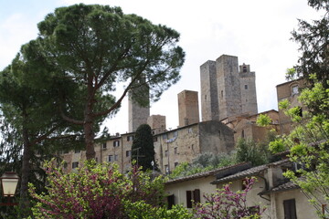 Fototapeta na wymiar towers in tuscany