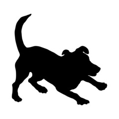 Black dog silhouette. Playing multibred dog puppy. Pet animals. Isolated on a white background.
