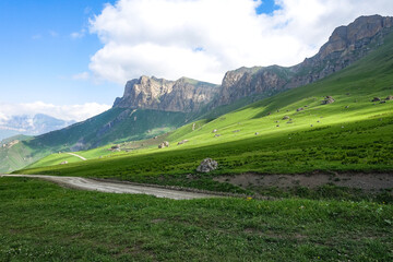 Fototapeta premium The landscape of the green Aktoprak pass in the Caucasus, the road and the mountains under gray clouds. Kabardino-Balkaria, Russia