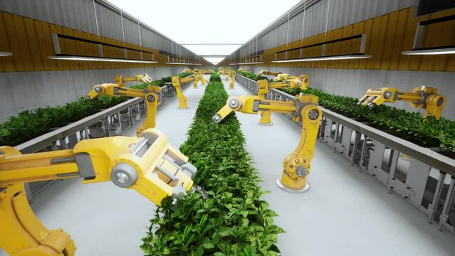 Grow plants factory 3D Concept: Automated Robot Arm Assembly Line Manufacturing agriculture. Agriculture Production Conveyor. Render 4K.