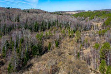 View of the spring taiga in the mountains of the Salair ridge
