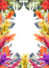 Obraz premium Vertical frame with watercolor hand painting Bromeliaceae flowers and leaves. Spring or summer flowers for invitation, wedding or greeting card. Botanical illustration of a bromeliads