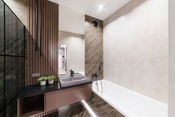bright interior of the bathroom with mirror and bath