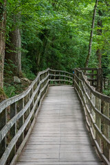 Fototapeta premium Wooden bridge passing alongside River Llugwy at Betws-y-Coed in Snowdonia, north Wales
