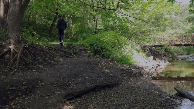 Hiking In The Forest. Large Tree Roots Reaching For The Creek Below. Steel Bridge Expanding The Width Of The Creek. Sun Peaking Through The Leaves. Creek Gently Flowing Through The Forest. 