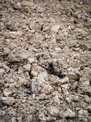 Trockene Erde auf einem Feld. Dürre, Klima, Umeltthema.