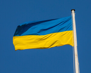 Ukraine Flag