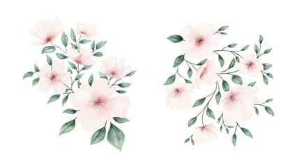 Watercolor pale pink flowers bouquet collection vector design