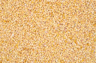 Gold flax seeds texture as background.