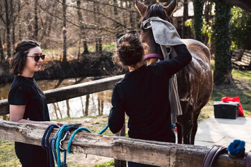 Two young women farmers wiping horse's head with towel after washing in outdoor stable box on...