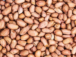 peanut background. close up texture of peanut