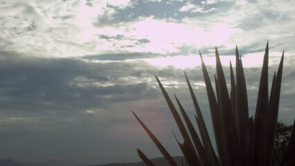 Timelapse of a sunrise between the mountains of the beautiful valleys of Tequila Jalisco, Mexico.