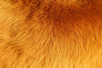 Cow fur full frame