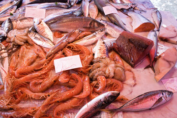 Seafood at the fish market in Catania, Sicily, Italy	