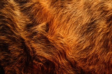 Cow fur full frame