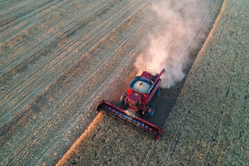 Barley harvest aerial view, in La Pampa, Argentina.