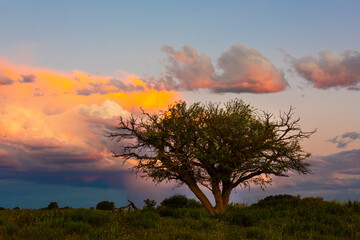 Stormy sky at sunset in the pampas field, La Pampa, Argentina.