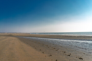 Stormy day at the north sea. North sea beach. Cold day on the North Sea.