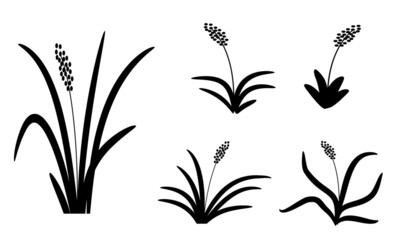 grass and flowers black silhouette