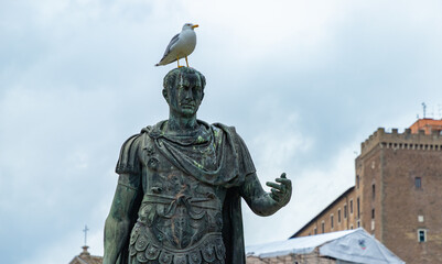 Julius Caesar Statue and Seagull - obrazy, fototapety, plakaty