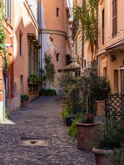 Fototapeta na wymiar Rome Plants Alley
