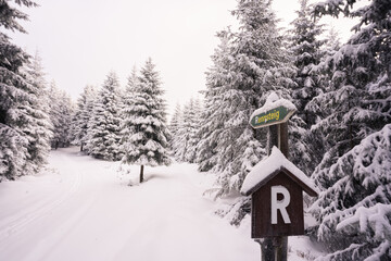 Winter am Rennsteig mit Ski Langlauf Loipe