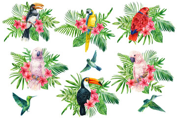 Set with parrot, hummingbird and toucan tropical palm leaves, plumeria flowers. watercolor exotic illustration  © Hanna