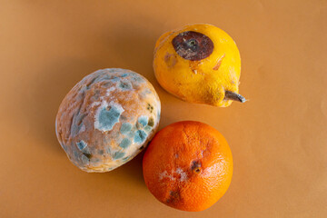 Top view of moldy foods isolated on color background - obrazy, fototapety, plakaty