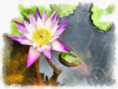 purple lotus in the pond watercolor style illustration impressionist painting.