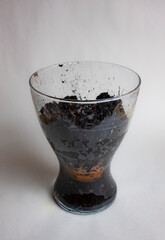 glass vase for flowers, prepared for planting, without flowers