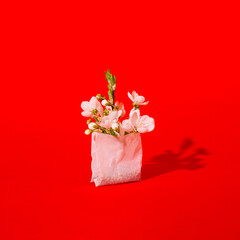 Flowers with tea on red background.  Spring concept with plants.