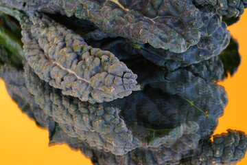 Close-up view of the texture of lacinato kale (dinosaur kale) leaves