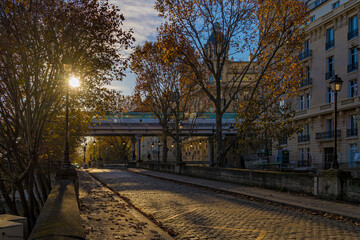 Fototapeta premium Subway on Bir-Hakeim Bridge Above Street in Paris With Autumn Colors on Trees